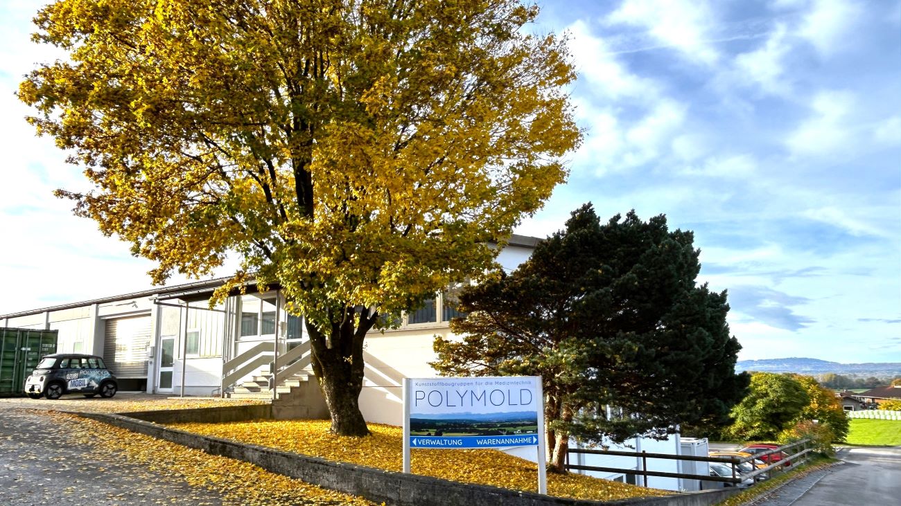 Dieser leuchtende Ahorn steht am Eingang von POLYMOLD. An ihm kommen alle Azubis vorbei - bisherige & jetzige. Auch deshalb ist er ein schönes Bild für gemeinsames Wachsen.