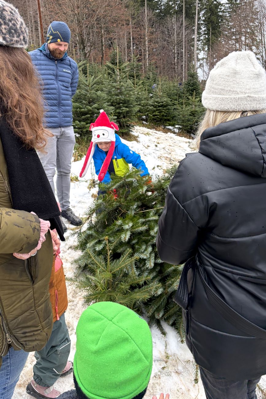 Gemeinsames Tannenbaum schlagen von POLYMOLD - auch die jüngsten halfen kräftig mit!