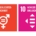 Rekordbeteiligung am Girls'Day 2026: Mit der Teilnahme an diesem Aktionstag unterstützen wir bei POLYMOLD die Nachhaltigkeitsziele #5 und #10 der Vereinten Nationen.